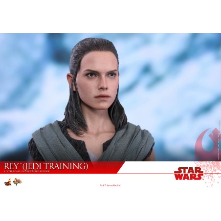 Hot Toys Star Wars: Rey (Jedi Training) MMS445 1/6 Scale Figure Hot Toys Star Wars: Rey (Jedi Training) MMS445 1/6 Scale Figure