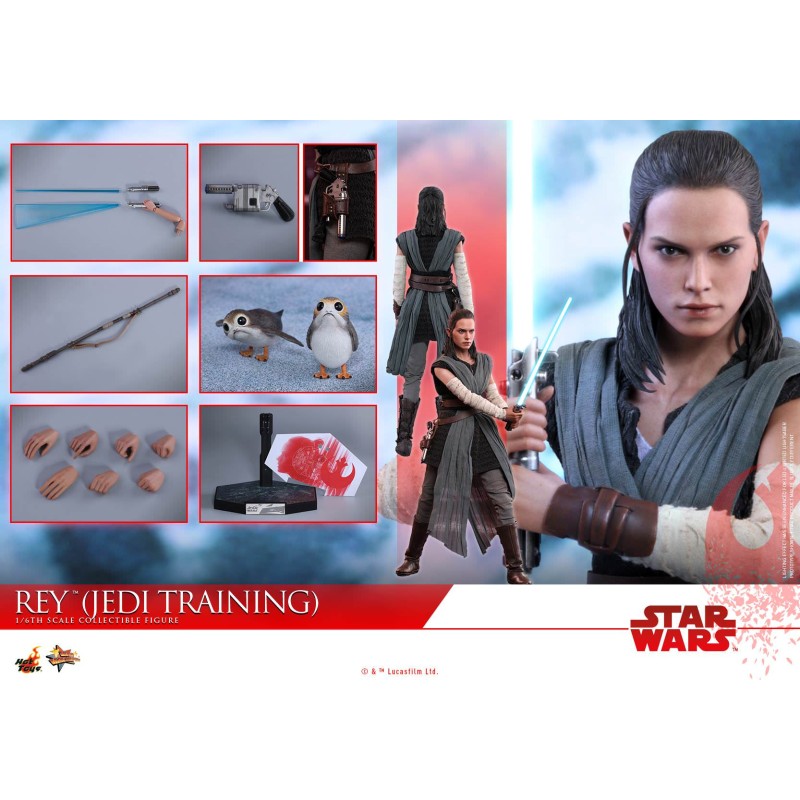 Hot Toys Star Wars: Rey (Jedi Training) MMS445 1/6 Scale Figure