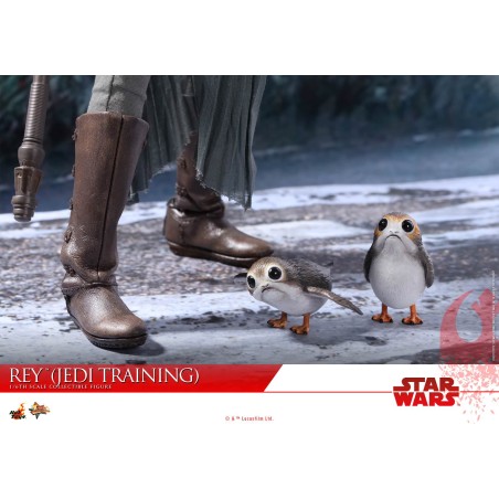 Hot Toys Star Wars: Rey (Jedi Training) MMS445 1/6 Scale Figure Hot Toys Star Wars: Rey (Jedi Training) MMS445 1/6 Scale Figure