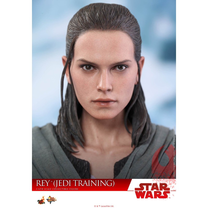 Hot Toys Star Wars: Rey (Jedi Training) MMS445 1/6 Scale Figure
