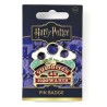 Harry Potter: Quidditch at Hogwarts Pin Badge