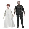 Universal Monsters: Bride of Frankenstein - The Monster & His Universal Monsters: Bride of Frankenstein - The Monster & His