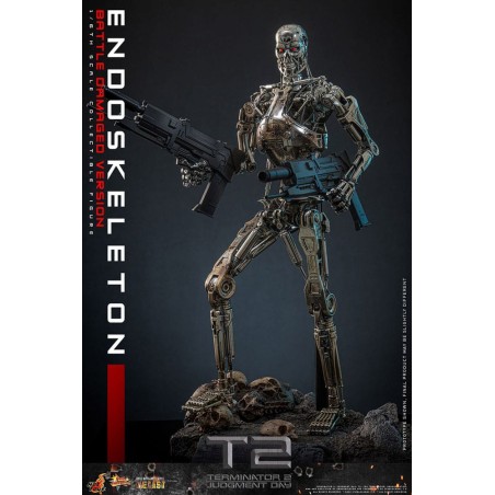 Hot Toys Terminator 2: Judgment Day Action Figure 1/6