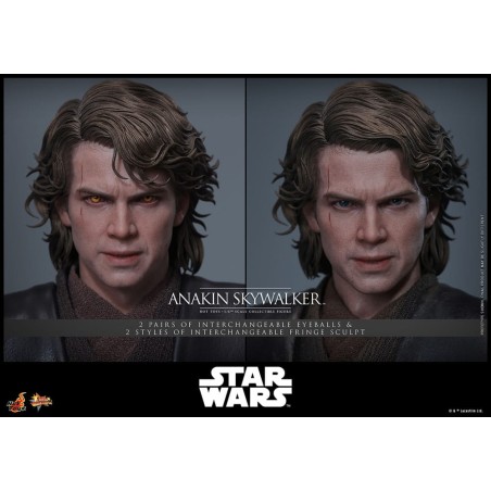 Hot Toys Star Wars: Anakin Skywalker (Episode III - Revenge of Hot Toys Star Wars: Anakin Skywalker (Episode III - Revenge of