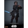 Hot Toys Star Wars: Anakin Skywalker (Episode III - Revenge of Hot Toys Star Wars: Anakin Skywalker (Episode III - Revenge of