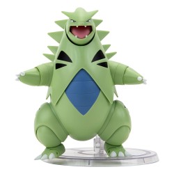 Pokémon: Tyranitar Action...