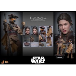Hot Toys Star Wars: Leia Organa (Boushh Disguise) 1/6 Scale