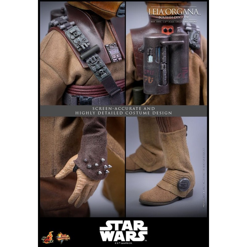 Hot Toys Star Wars: Leia Organa (Boushh Disguise) 1/6 Scale