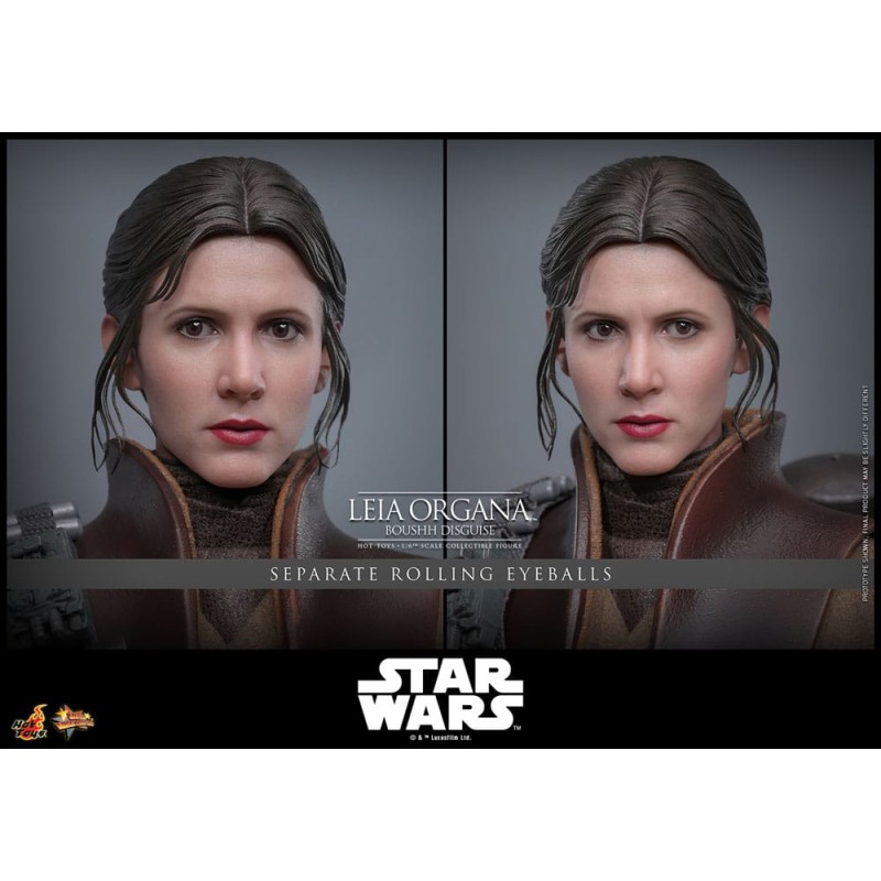 Hot Toys Star Wars: Leia Organa (Boushh Disguise) 1/6 Scale
