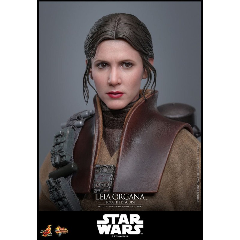 Hot Toys Star Wars: Leia Organa (Boushh Disguise) 1/6 Scale