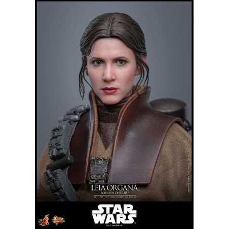 Hot Toys Star Wars: Leia Organa (Boushh Disguise) 1/6 Scale