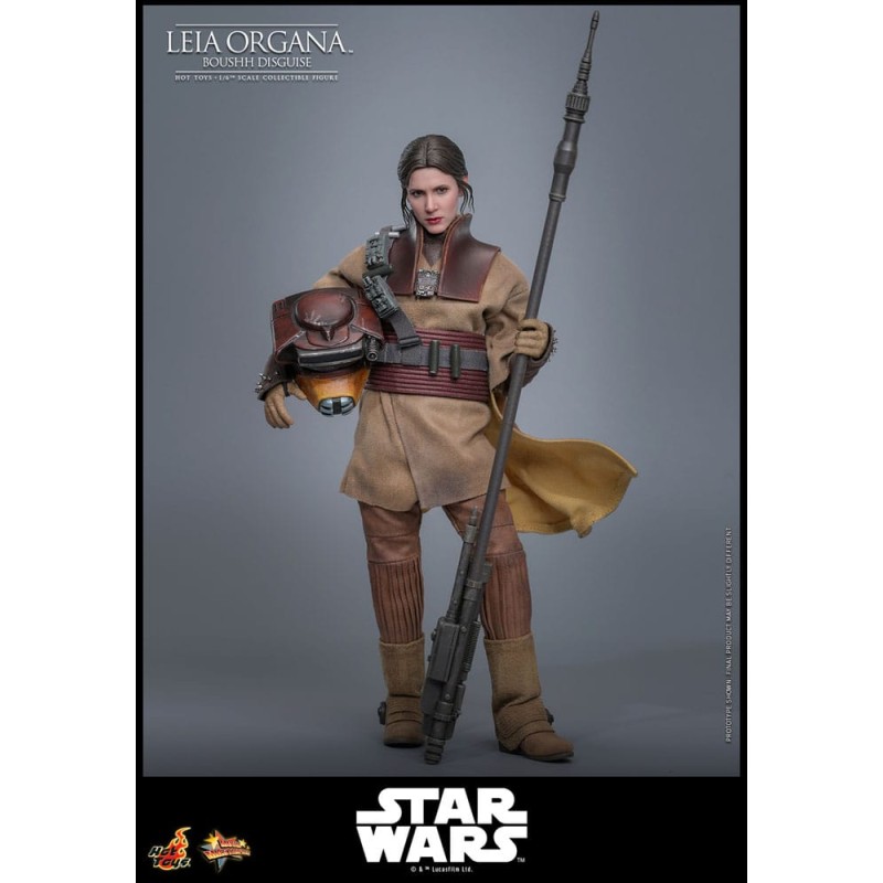 Hot Toys Star Wars: Leia Organa (Boushh Disguise) 1/6 Scale