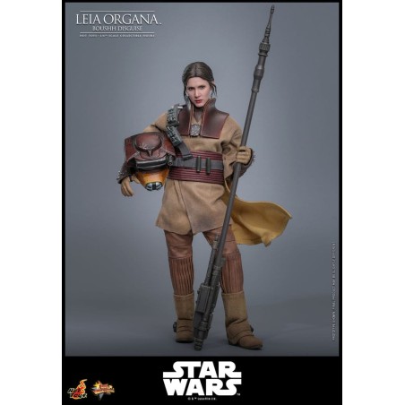 Hot Toys Star Wars: Leia Organa (Boushh Disguise) 1/6 Scale