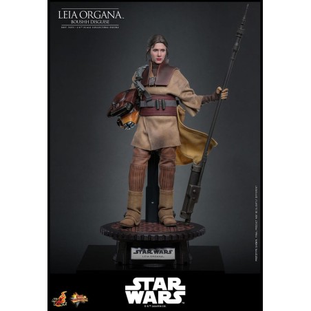 Hot Toys Star Wars: Leia Organa (Boushh Disguise) 1/6 Scale
