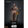 Hot Toys Star Wars: Leia Organa (Boushh Disguise) 1/6 Scale