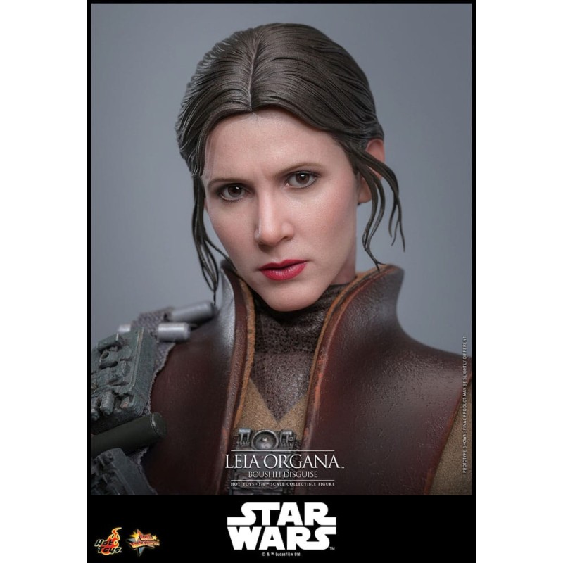 Hot Toys Star Wars: Leia Organa (Boushh Disguise) 1/6 Scale