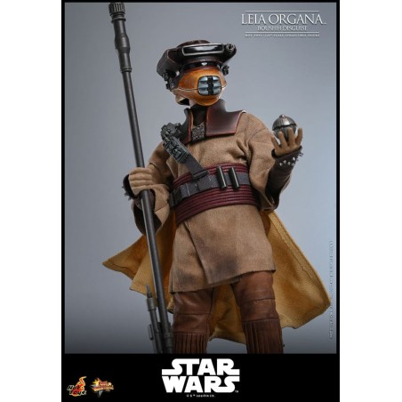 Hot Toys Star Wars: Leia Organa (Boushh Disguise) 1/6 Scale