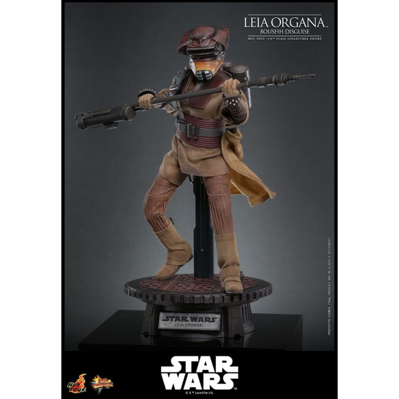 Hot Toys Star Wars: Leia Organa (Boushh Disguise) 1/6 Scale