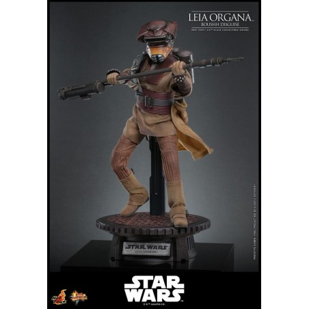 Hot Toys Star Wars: Leia Organa (Boushh Disguise) 1/6 Scale