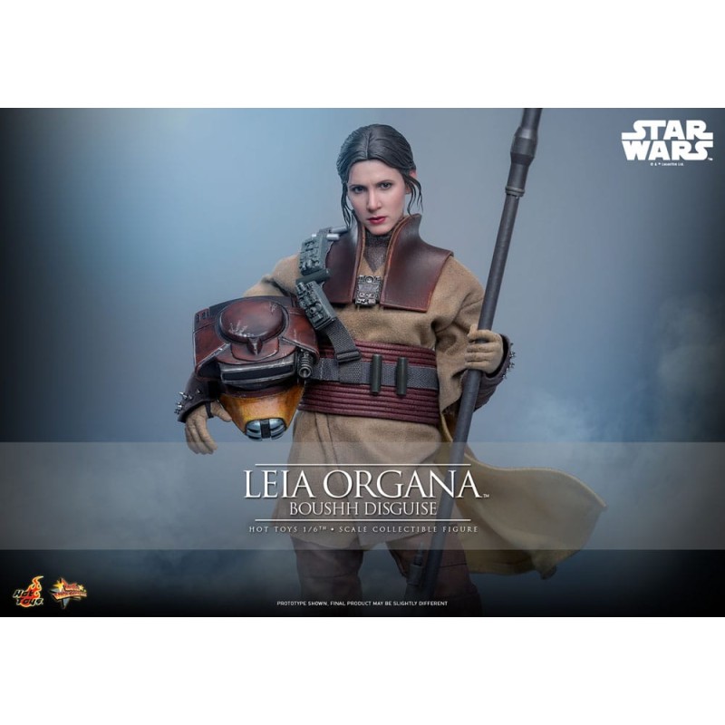 Hot Toys Star Wars: Leia Organa (Boushh Disguise) 1/6 Scale