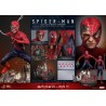 Hot Toys Marvel: Spider-Man (2002) Battle Damaged 1/6 Scale