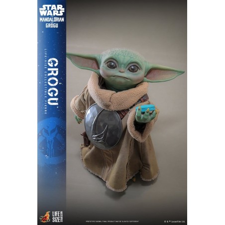 [PRE-ORDER] Hot Toys Star Wars: The Mandalorian & Grogu - Grogu
