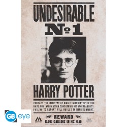 Poster: Harry Potter - Undesirable