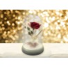 Disney: Beauty and the Beast - Enchanted Rose Light Disney: Beauty and the Beast - Enchanted Rose Light