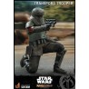 Hot Toys Star Wars The Mandalorian Action Figure 1/6 Transport Hot Toys Star Wars The Mandalorian Action Figure 1/6 Transport