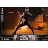 Hot Toys The Falcon and the Winter Soldier - Winter Soldier 1:6 Hot Toys The Falcon and the Winter Soldier - Winter Soldier 1:6