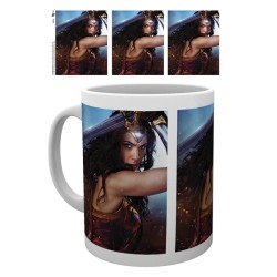 Wonder Woman mug mok