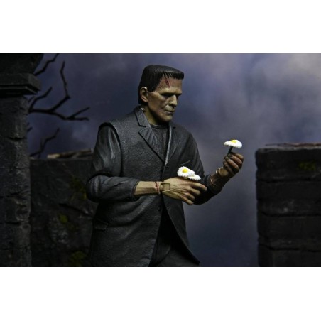 NECA Ultimate Frankenstein's Monster Color Action Figure 17cm