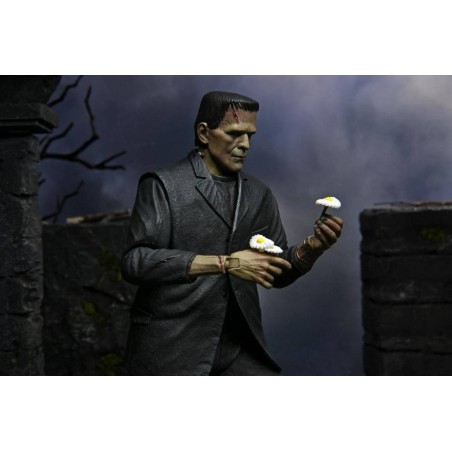 NECA Ultimate Frankenstein's Monster Color Action Figure 17cm NECA Ultimate Frankenstein's Monster Color Action Figure 17cm
