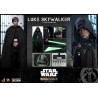 Hot Toys The Mandalorian - Luke Skywalker 1:6 Scale Figure 30cm Hot Toys The Mandalorian - Luke Skywalker 1:6 Scale Figure 30cm