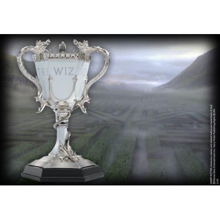 Harry Potter: Triwizard Cup
