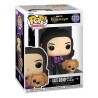 Funko Pop! Marvel: Hawkeye TV Series - Kate Bischop with Lucky Funko Pop! Marvel: Hawkeye TV Series - Kate Bischop with Lucky