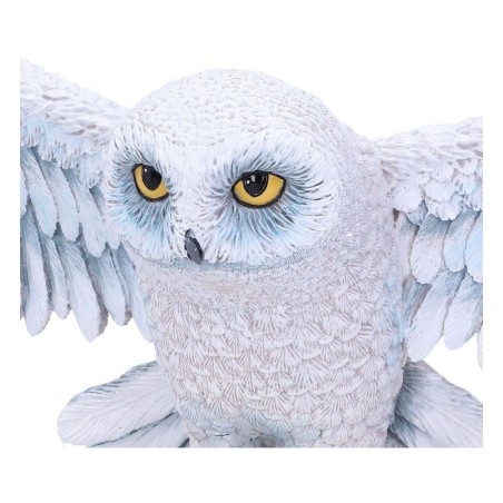Harry Potter: Hedwig Wall Plaque 45 cm