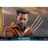 Hot Toys Marvel: X-Men Days of Future Past - Wolverine 1973 Hot Toys Marvel: X-Men Days of Future Past - Wolverine 1973