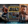 Hot Toys Marvel: X-Men Days of Future Past - Wolverine 1973 Hot Toys Marvel: X-Men Days of Future Past - Wolverine 1973