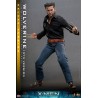 Hot Toys Marvel: X-Men Days of Future Past - Wolverine 1973 Hot Toys Marvel: X-Men Days of Future Past - Wolverine 1973