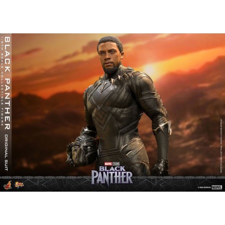 Hot Toys Black Panther (Original Suit) Movie Masterpiece 1/6 Hot Toys Black Panther (Original Suit) Movie Masterpiece 1/6