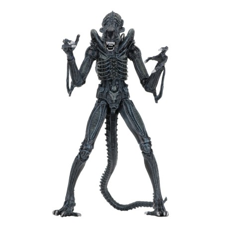 Aliens: Ultimate Aliens Warrior (Blue) Action Figure 18 cm Aliens: Ultimate Aliens Warrior (Blue) Action Figure 18 cm