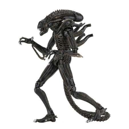 Aliens: Ultimate Aliens Warrior (Brown) Action Figure 18 cm Aliens: Ultimate Aliens Warrior (Brown) Action Figure 18 cm