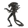 Aliens: Ultimate Aliens Warrior (Brown) Action Figure 18 cm Aliens: Ultimate Aliens Warrior (Brown) Action Figure 18 cm