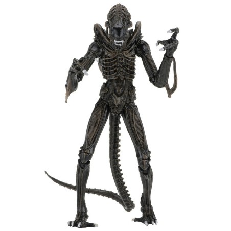 Aliens: Ultimate Aliens Warrior (Brown) Action Figure 18 cm Aliens: Ultimate Aliens Warrior (Brown) Action Figure 18 cm