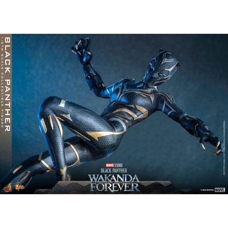 Hot Toys Black Panther: Wakanda Forever Movie Masterpiece Hot Toys Black Panther: Wakanda Forever Movie Masterpiece