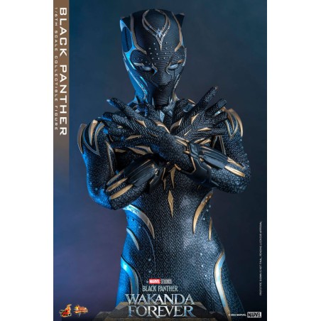 Hot Toys Black Panther: Wakanda Forever Movie Masterpiece Hot Toys Black Panther: Wakanda Forever Movie Masterpiece