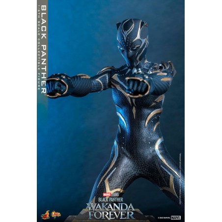Hot Toys Black Panther: Wakanda Forever Movie Masterpiece Hot Toys Black Panther: Wakanda Forever Movie Masterpiece
