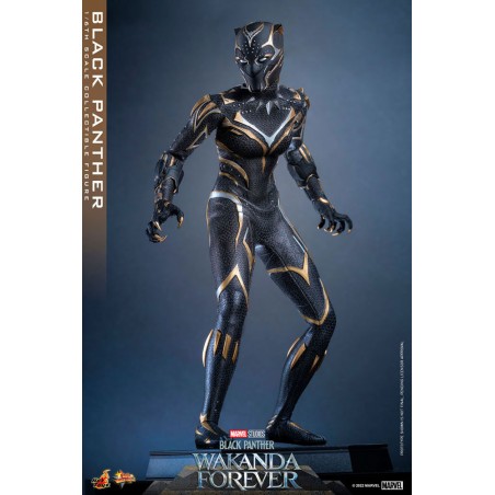 Hot Toys Black Panther: Wakanda Forever Movie Masterpiece Hot Toys Black Panther: Wakanda Forever Movie Masterpiece