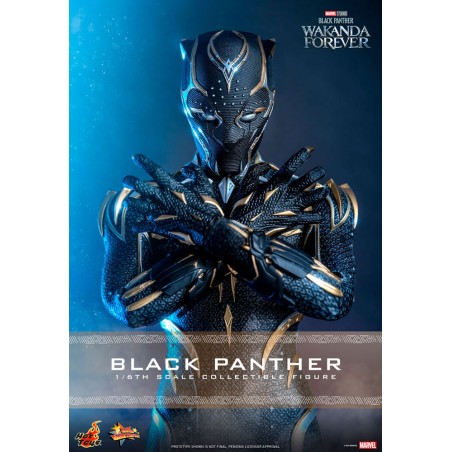 Hot Toys Black Panther: Wakanda Forever Movie Masterpiece Hot Toys Black Panther: Wakanda Forever Movie Masterpiece